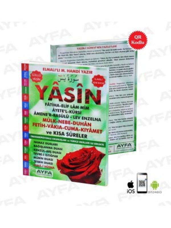 Yasin-Ayfa-yesil-091.jpg